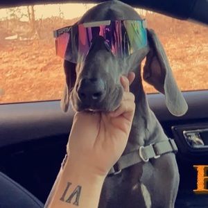 Meet your Posher, John